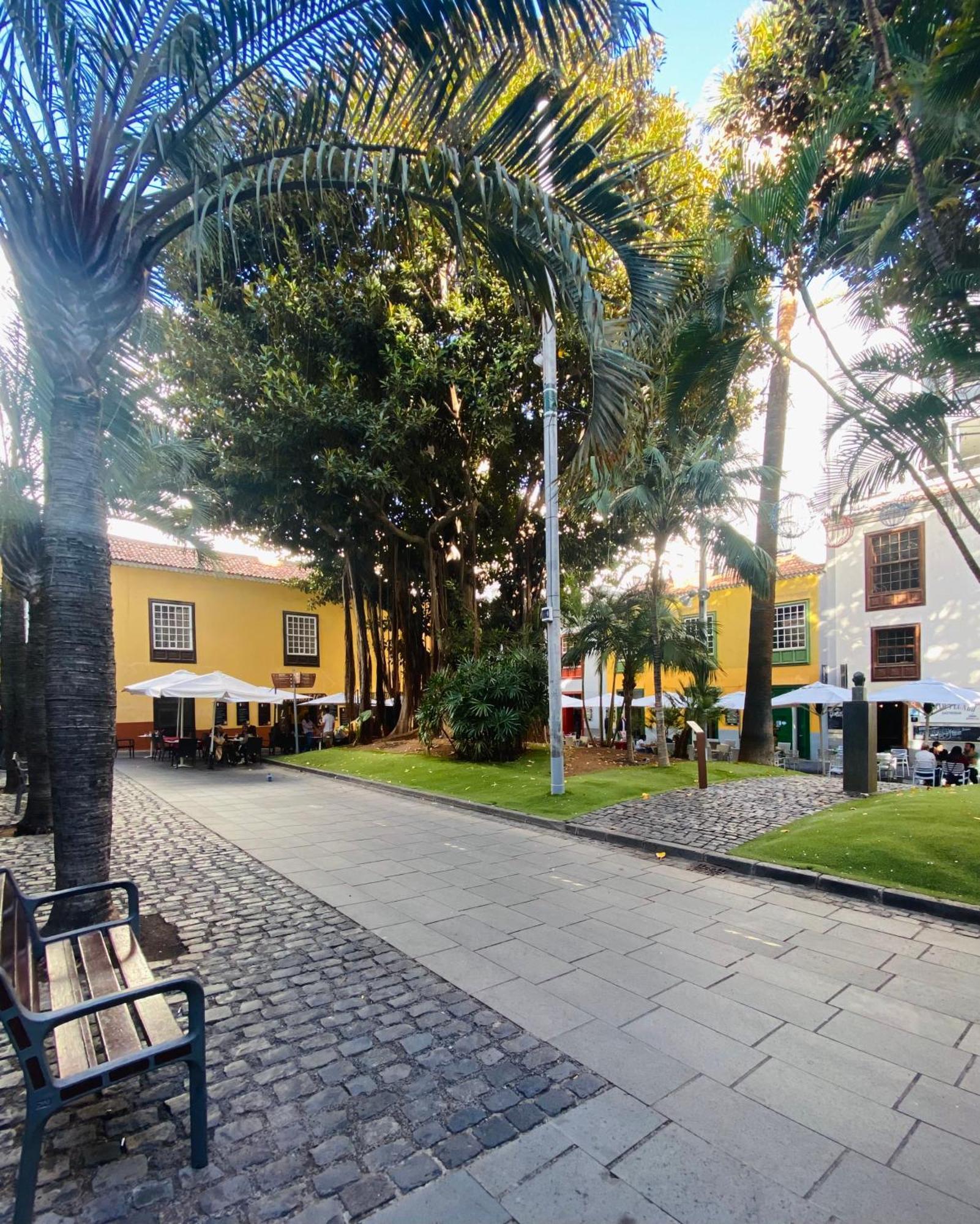 Macaronesia Home Santa Cruz de Tenerife Exterior photo
